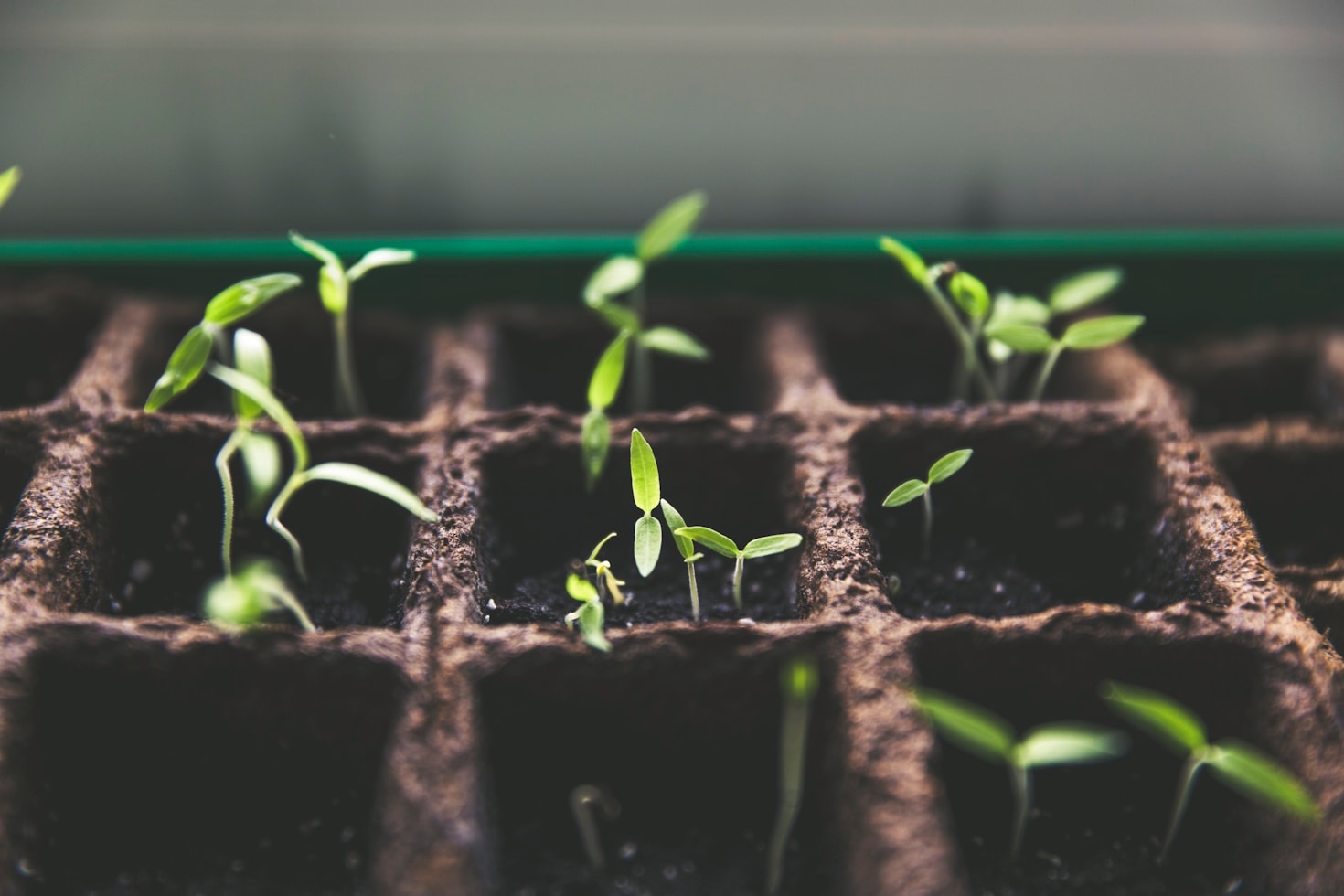 Anticipazioni sul nostro progetto futuro
